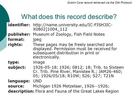 What does this record describe? identifier:  X0802]1004_112 publisher: Museum of Zoology, Fish Field Notes format:jpeg.