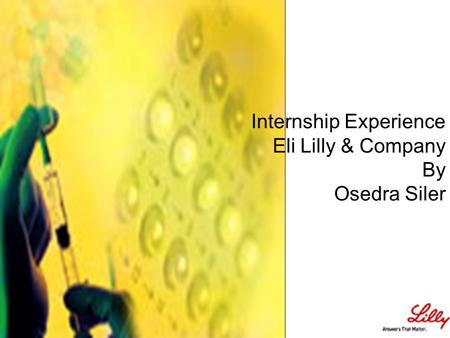 Internship Experience