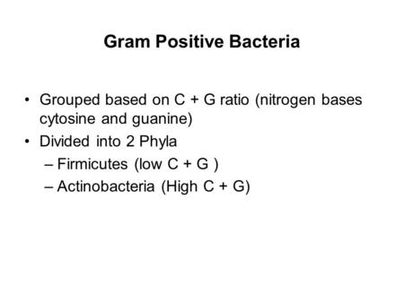 Gram Positive Bacteria