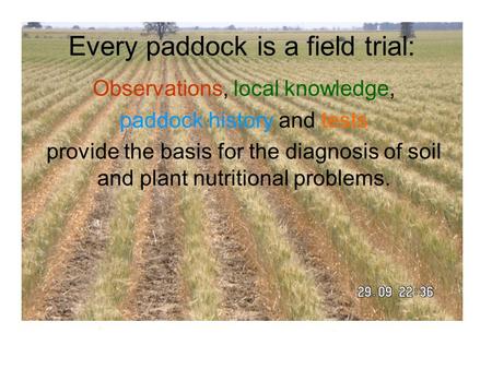 Every paddock is a field trial: Observations, local knowledge, paddock history and tests provide the basis for the diagnosis of soil and plant nutritional.