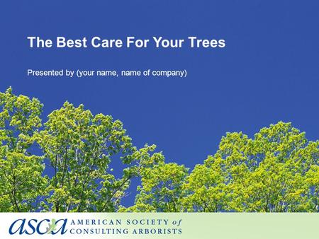 The Best Care For Your Trees Presented by (your name, name of company)