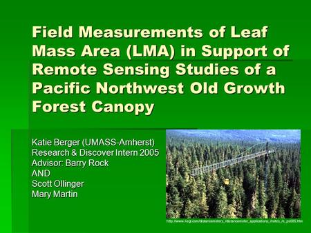 Field Measurements of Leaf Mass Area (LMA) in Support of Remote Sensing Studies of a Pacific Northwest Old Growth Forest Canopy Katie Berger (UMASS-Amherst)