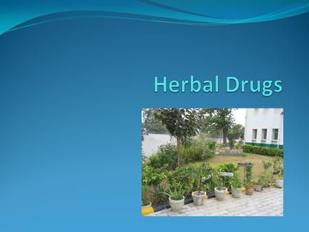 Why do people use herbal drugs? Patient autonomy/control Ease of use Easy availability Confidentiality Possibility of fewer side effects (compared to.