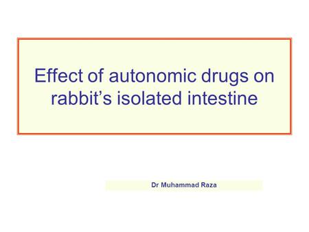 Effect of autonomic drugs on rabbit’s isolated intestine