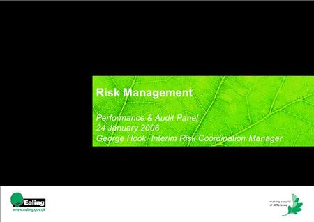 Risk Management Performance & Audit Panel 24 January 2006 George Hook, Interim Risk Coordination Manager.