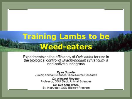 Training Lambs to be Weed-eaters Experiments on the efficiency of Ovis airies for use in the biological control of Brachypodium sylvaticum- a non-native.