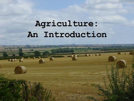 The warm climate and rich soil of southern Brazil made the area produce abundant harvests. By 1990, the soil in the region had been farmed so many times,