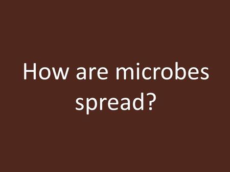 How are microbes spread?. Recap from last lesson 1.Name three types of microbes. 2.Which microbe is the smallest? 3.List two examples of fungi. 4.Which.