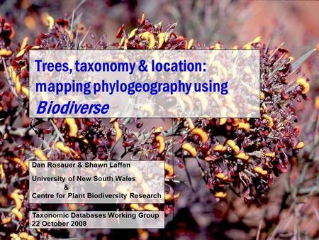 Trees, taxonomy & location: mapping phylogeography using Biodiverse Dan Rosauer & Shawn Laffan University of New South Wales & Centre for Plant Biodiversity.