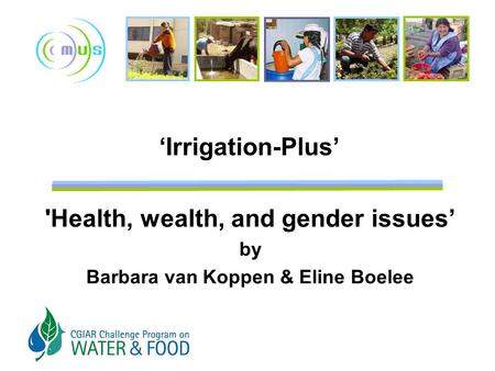 ‘Irrigation-Plus’ 'Health, wealth, and gender issues’ by Barbara van Koppen & Eline Boelee.