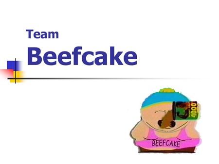 Team Beefcake. Team Members Dr. Ray Winton Faculty Advisor Anthony Piro Software Design Web Page Design Todd Stringer Hardware Design Testing.