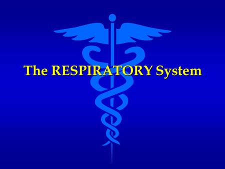 The RESPIRATORY System. Functions of the Respiratory System Provides structures and mechanisms for gas exchange Provides structures and mechanisms for.