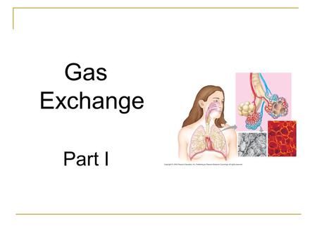 Gas Exchange Part I. Respiration – taking up O 2 giving up CO 2 Photosynthesis – taking up CO 2, giving up O 2.