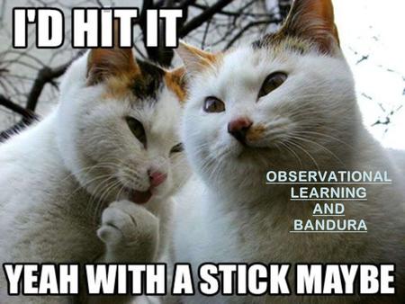 OBSERVATIONAL LEARNING AND BANDURA. Bandura  Learning occurs within a social context.  People learn from one another through observational learning,