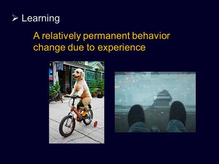  Learning A relatively permanent behavior change due to experience.