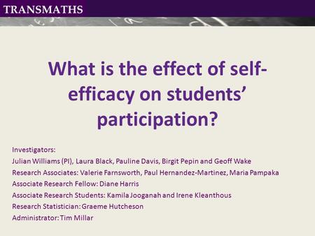 What is the effect of self- efficacy on students’ participation? Investigators: Julian Williams (PI), Laura Black, Pauline Davis, Birgit Pepin and Geoff.