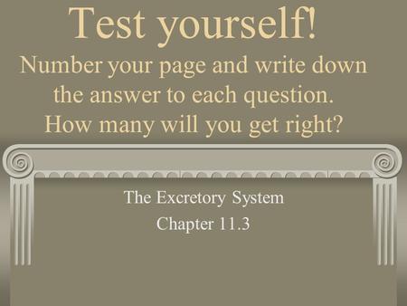 Test yourself! Number your page and write down the answer to each question. How many will you get right? The Excretory System Chapter 11.3.