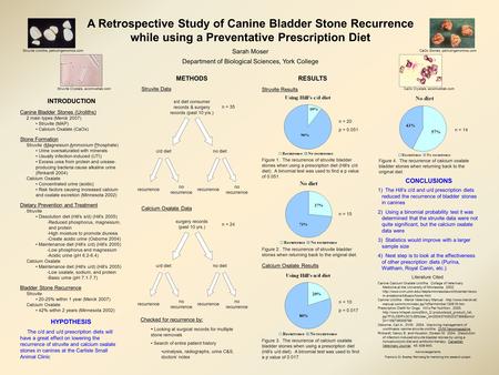 A Retrospective Study of Canine Bladder Stone Recurrence while using a Preventative Prescription Diet INTRODUCTION Canine Bladder Stones (Uroliths) 2 main.