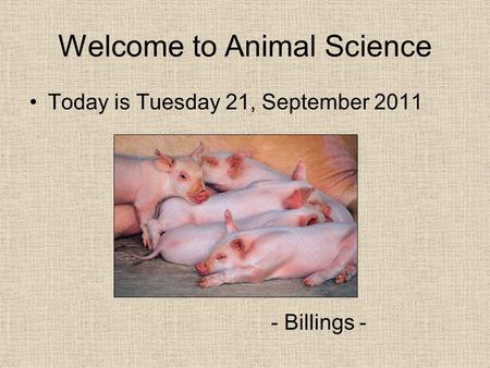 Welcome to Animal Science Today is Tuesday 21, September 2011 - Billings -