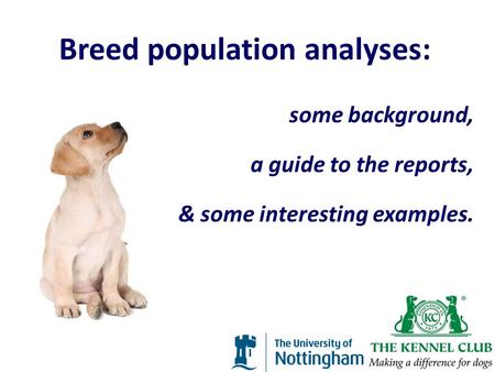 Breed population analyses: some background, a guide to the reports, & some interesting examples.