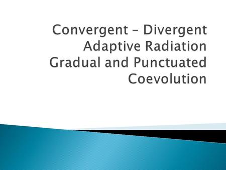 - When a species diverges over time into two different species, resulting in a species becoming less like the original one - Live in different ways than.