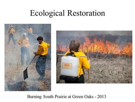 Ecological Restoration Burning South Prairie at Green Oaks - 2013.