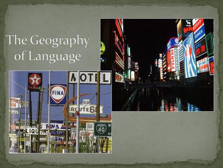 What is the distribution of world languages density concentration patterns How is culture influenced or limited by this language distribution? How does.