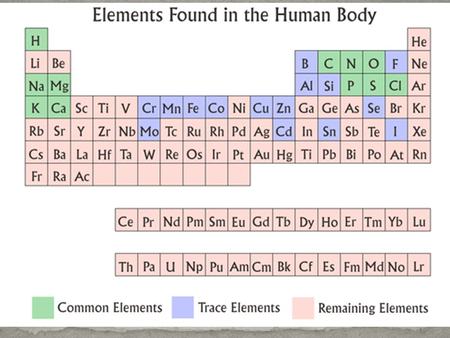 Organisms contain atoms from 11 different elements held together with covalent bonds. These atoms all come from elements which are __________________________________?