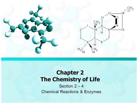 Chapter 2 The Chemistry of Life