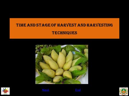 TIME AND STAGE OF HARVEST AND HARVESTING TECHNIQUES