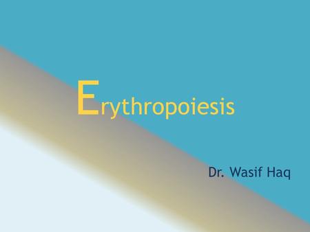 E rythropoiesis Dr. Wasif Haq. Introduction Red blood cells also called as “Erythrocytes”. R.B.C. required for transportation of respiratory gases. Biconcave.