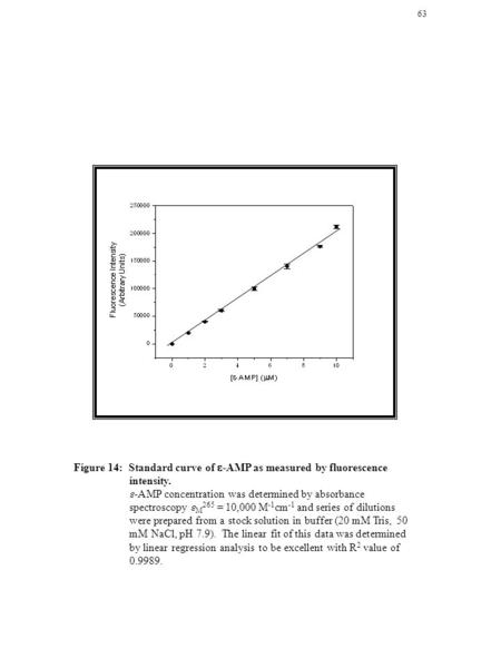 63 Figure 14: Standard curve of  -AMP as measured by fluorescence intensity.  -AMP concentration was determined by absorbance spectroscopy.