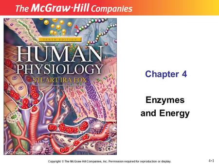 Chapter 4 Enzymes and Energy