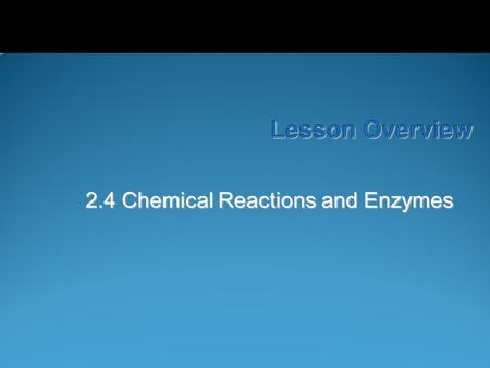 2.4 Chemical Reactions and Enzymes