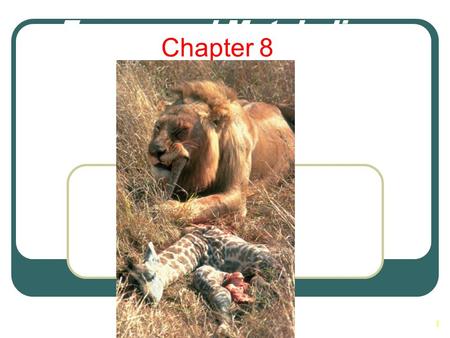 Energy and Metabolism Chapter 8.