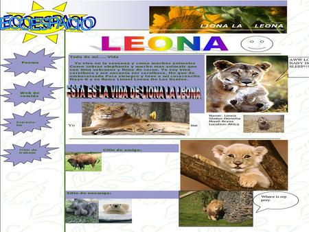 African Savanna Food Web Australian Savanna Food Web Koala bear sun Eucalyptus gum tree.