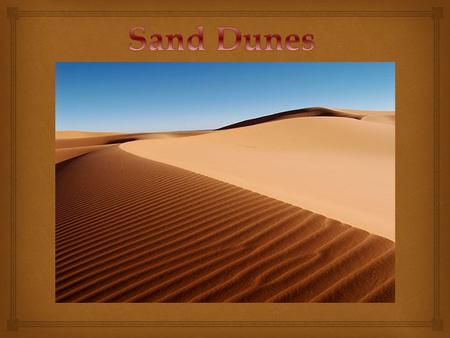 A sand dune is a hill made out of sand created by a series of winds. They form in Different shapes and sizes.