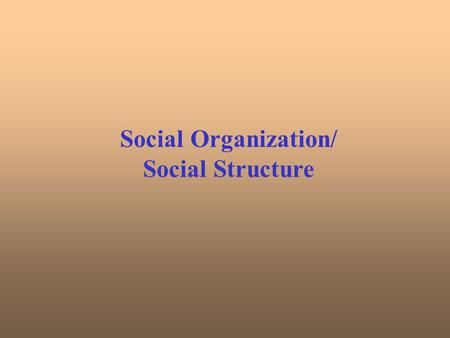 Social Organization/ Social Structure Group interaction status role sanctions folkways mores society Social Organization/ Social Structure Institutionalization.