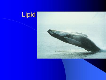 Lipid. The function of lipid Lipids are a class of biological molecules defined by low solubility in water and high solubility in nonpolar solvents. Function: