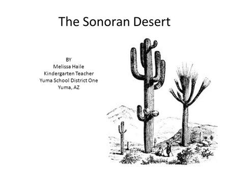 Yuma School District One