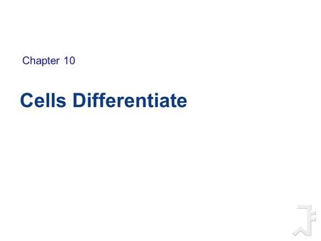 Chapter 10 Cells Differentiate.