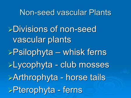 Non-seed vascular Plants