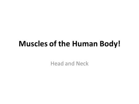 Muscles of the Human Body!