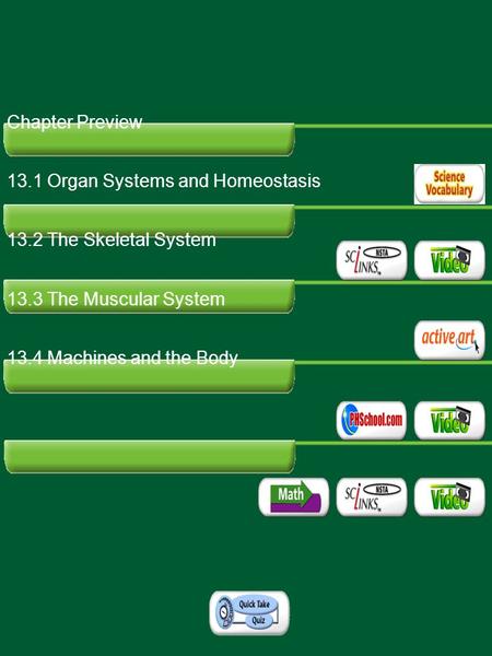 Table of Contents Chapter Preview 13.1 Organ Systems and Homeostasis 13.2 The Skeletal System 13.3 The Muscular System 13.4 Machines and the Body.