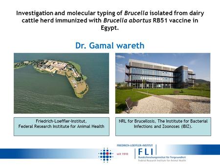 Investigation and molecular typing of Brucella isolated from dairy cattle herd immunized with Brucella abortus RB51 vaccine in Egypt. Dr. Gamal wareth.