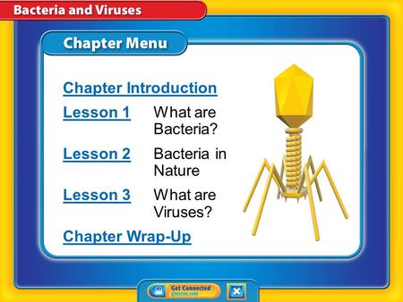 Lesson 1 What are Bacteria? Lesson 2 Bacteria in Nature