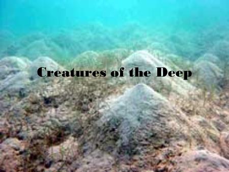 Creatures of the Deep. Can you believe that…. Over 60% of our planet is covered by water more than a mile deep. The deep sea is the largest habitat on.