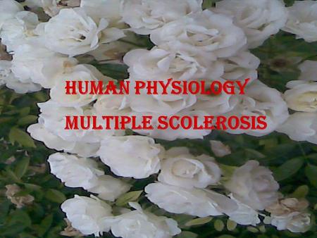 Human Physiology Multiple Scolerosis. Multiple sclerosis is an autoimmune disease that affects the brain and spinal cord (central nervous system) autoimmune.