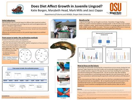 Does Diet Affect Growth in Juvenile Lingcod? Katie Borgen, Marybeth Head, Mark Mills and Jacci Zappa Department of Fisheries and Wildlife, Oregon State.