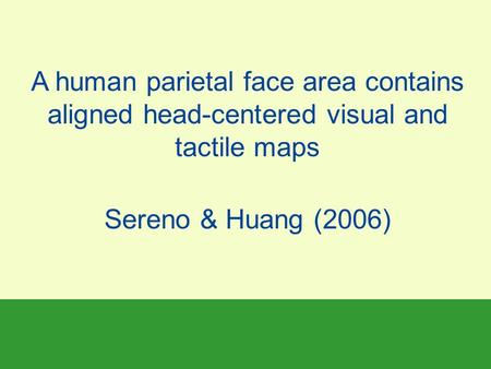 A human parietal face area contains aligned head-centered visual and tactile maps Sereno & Huang (2006)